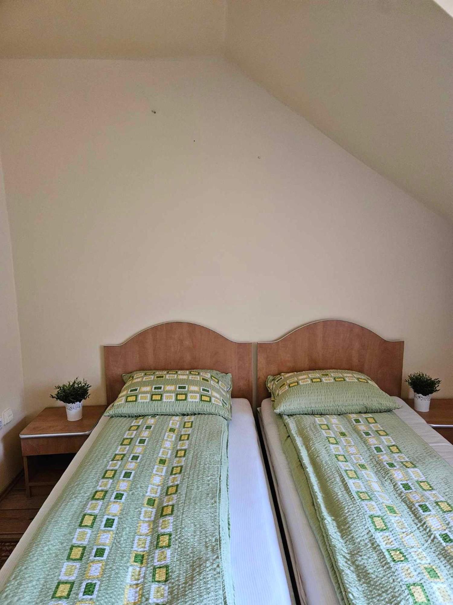 Panzio Anett Bed & Breakfast Pietroasa  Exterior photo